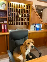 ホテル モーツァルトの写真・動画_image_356237