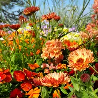 山下公園の写真・動画_image_356239