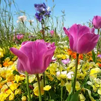 山下公園の写真・動画_image_356368