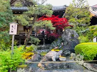 松尾大社の写真・動画_image_356452