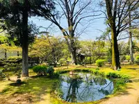 広隆寺の写真・動画_image_356490