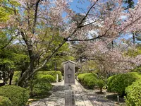 広隆寺の写真・動画_image_356491
