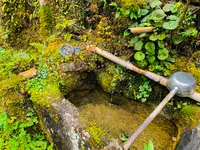 高山寺の写真・動画_image_356552