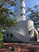 城ヶ崎海岸の写真・動画_image_356664