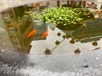 南京町の写真・動画_image_356740