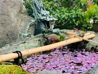 壬生寺の写真・動画_image_357060