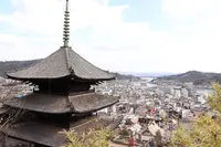 尾道市の写真・動画_image_357143