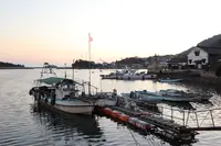 鞆の浦の写真・動画_image_357145