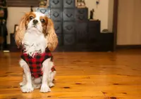 お宿 丸正の写真・動画_image_357492