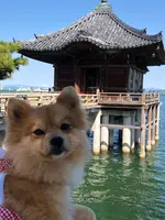 浮御堂（海門山満月寺）の写真・動画_image_358135