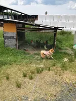 山田牧場の写真・動画_image_358140