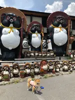 信楽陶苑　たぬき村の写真・動画_image_358145