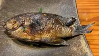 西中洲しん進の写真・動画_image_358285