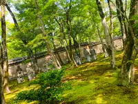 宝厳院の写真・動画_image_358483