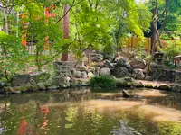 吉田神社の写真・動画_image_358514