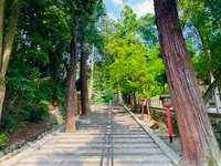 吉田神社の写真・動画_image_358517