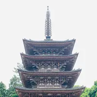 醍醐寺の写真・動画_image_358521