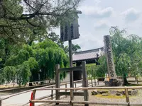 醍醐寺の写真・動画_image_358533