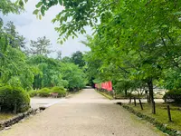 醍醐寺の写真・動画_image_358535