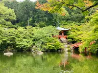 醍醐寺の写真・動画_image_358539