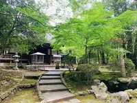 醍醐寺の写真・動画_image_358547