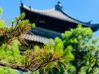 鹿王院の写真・動画_image_358684