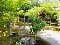 鹿王院の写真・動画_image_358693