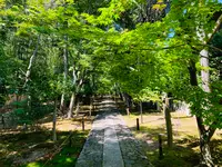 鹿王院の写真・動画_image_358694
