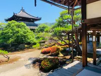 鹿王院の写真・動画_image_358699