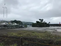 三ツ石海岸の写真・動画_image_359382