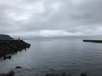 三ツ石海岸の写真・動画_image_359383