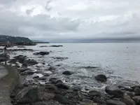 三ツ石海岸の写真・動画_image_359389