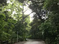 三ツ石海岸の写真・動画_image_359399