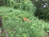 三ツ石海岸の写真・動画_image_359402