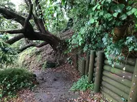 三ツ石海岸の写真・動画_image_359404