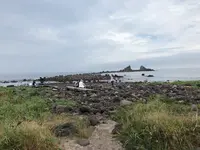三ツ石海岸の写真・動画_image_359405