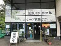 三ツ石海岸の写真・動画_image_359408