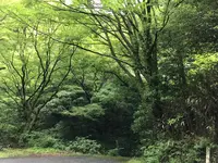 湯河原温泉の写真・動画_image_359423