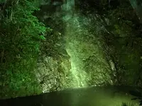 奥湯河原温泉 青巒荘（せいらんそう）の写真・動画_image_359454
