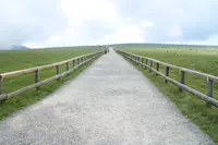 美しの塔の写真・動画_image_359532