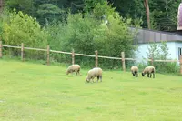 蓼科牧場の写真・動画_image_359545