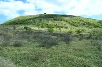 車山高原の写真・動画_image_359547