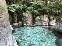 奥湯河原温泉 青巒荘（せいらんそう）の写真・動画_image_359550