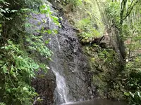 奥湯河原温泉 青巒荘（せいらんそう）の写真・動画_image_359595