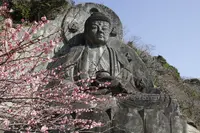 鋸山 日本寺 展望台の写真・動画_image_359598