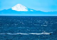 北条海岸の写真・動画_image_359601