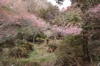 抱湖園の写真・動画_image_359606