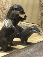 DMMかりゆし水族館の写真・動画_image_359615
