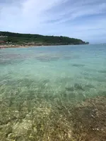 大度浜海岸の写真・動画_image_359623