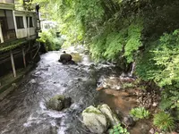 奥湯河原温泉 青巒荘（せいらんそう）の写真・動画_image_359628